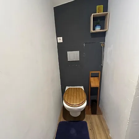 Le Reve Divin T3 Hypercentre * ルルド